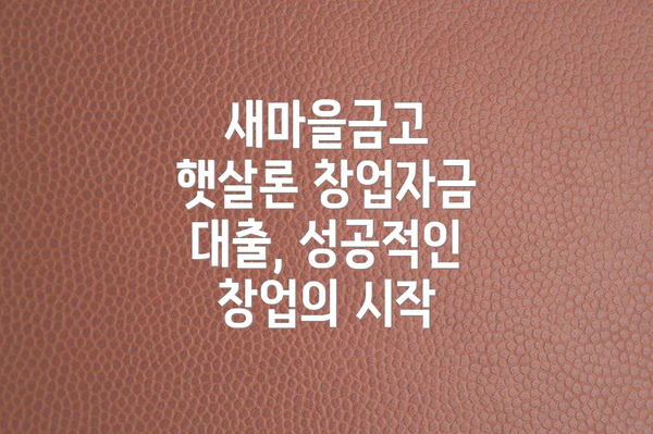 새마을금고 햇살론 창업자금 대출, 성공적인 창업의 시작