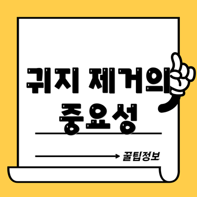 귀지 제거의 중요성