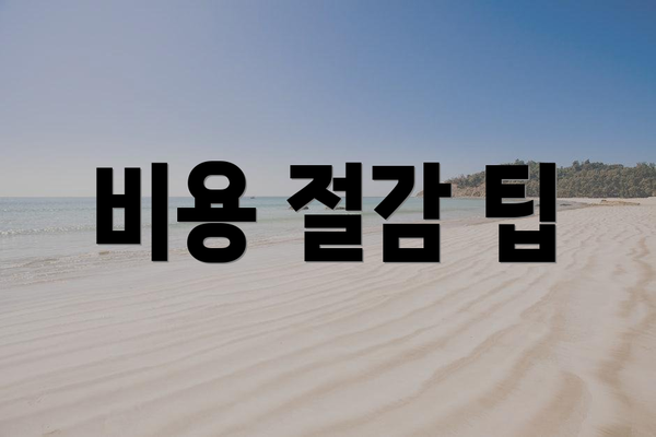 비용 절감 팁