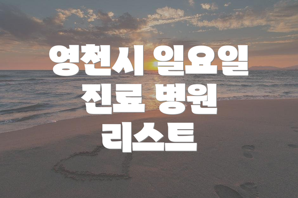 영천시 일요일 진료 병원 리스트