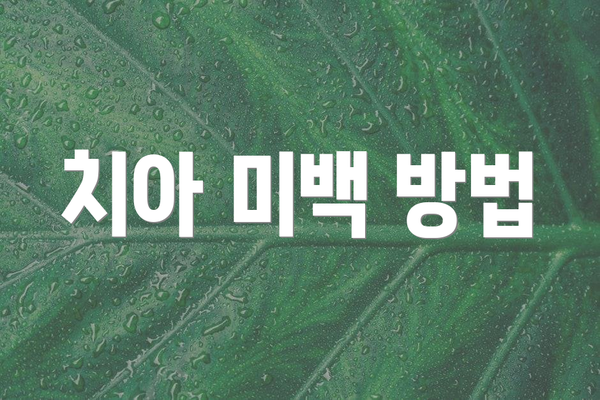치아 미백 방법