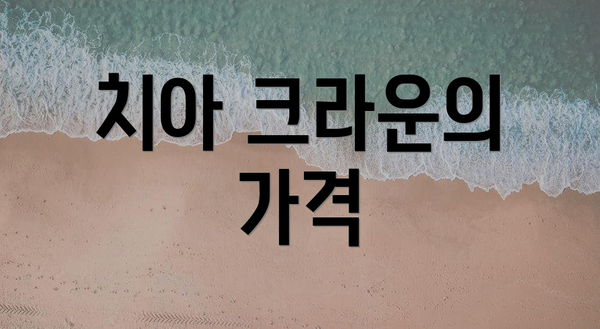 치아 크라운의 가격