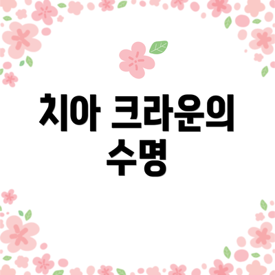 치아 크라운의 수명