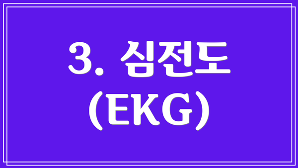 3. 심전도 (EKG)